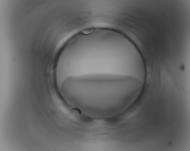 X0000113930391200910161856