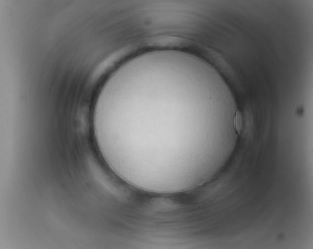 X0000113930392200910161856