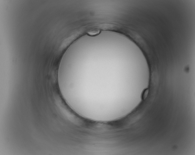 X0000113930393200910161856