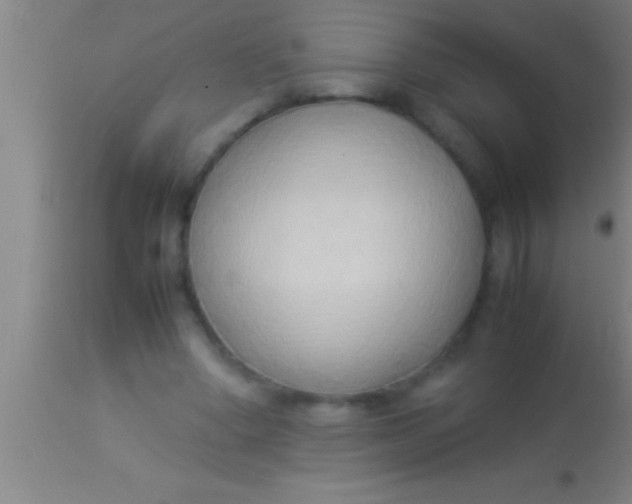 X0000113930394200910161856