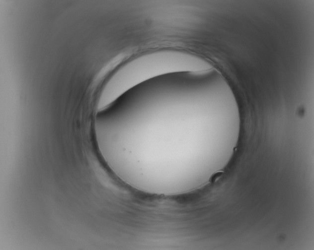 X0000113930395200910161856