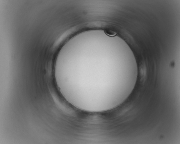 X0000113930396200910161856