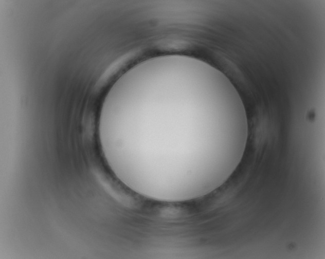 X0000113930400200910161856