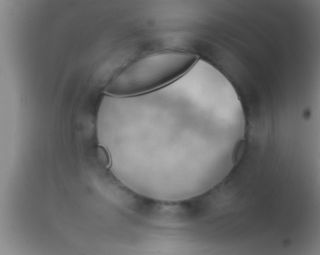 X0000113930401200910161856
