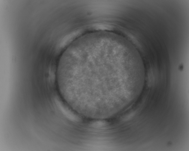 X0000113930402200910161856