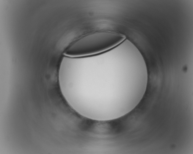 X0000113930403200910161856