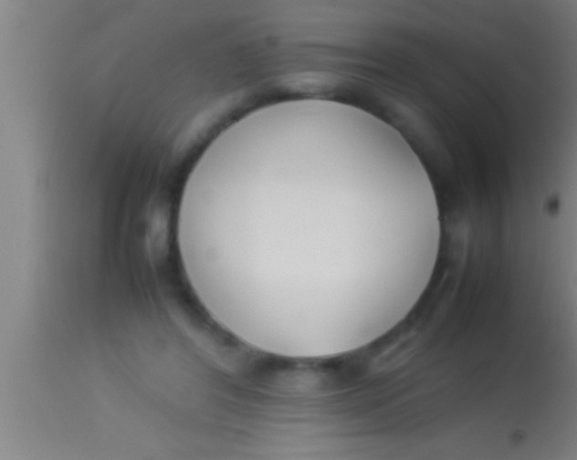 X0000113930404200910161856