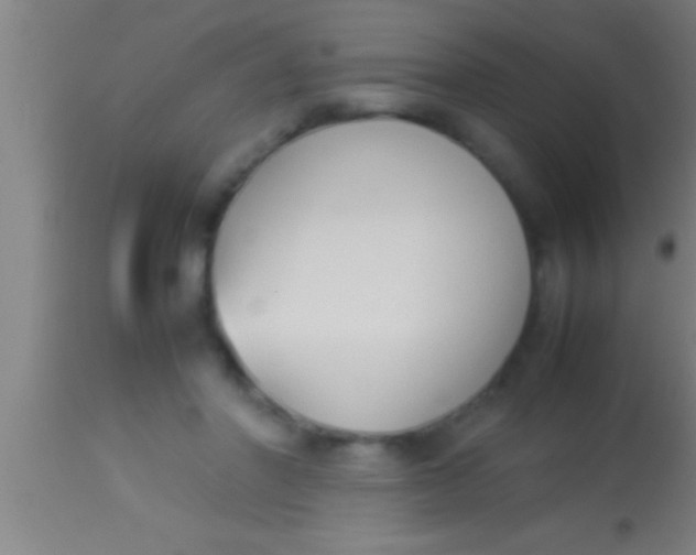 X0000113930406200910161856