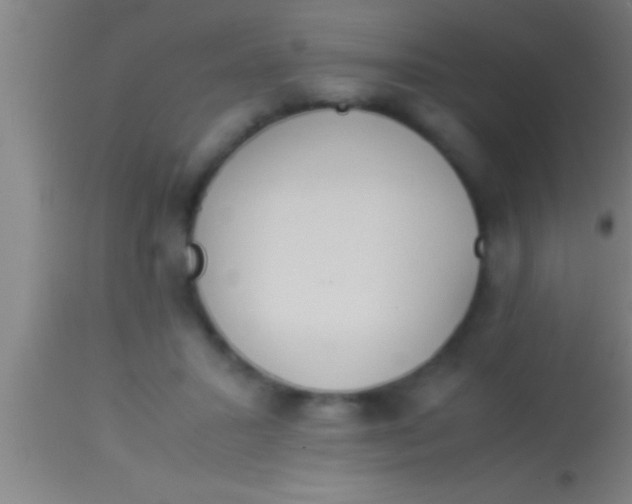 X0000113930407200910161856