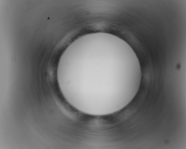 X0000113930408200910161856
