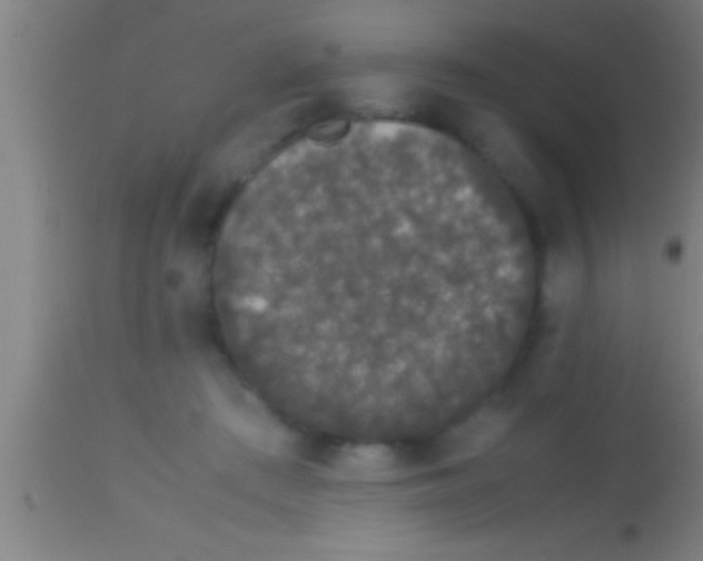 X0000113930409200910161856