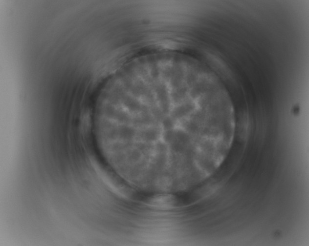 X0000113930410200910161856