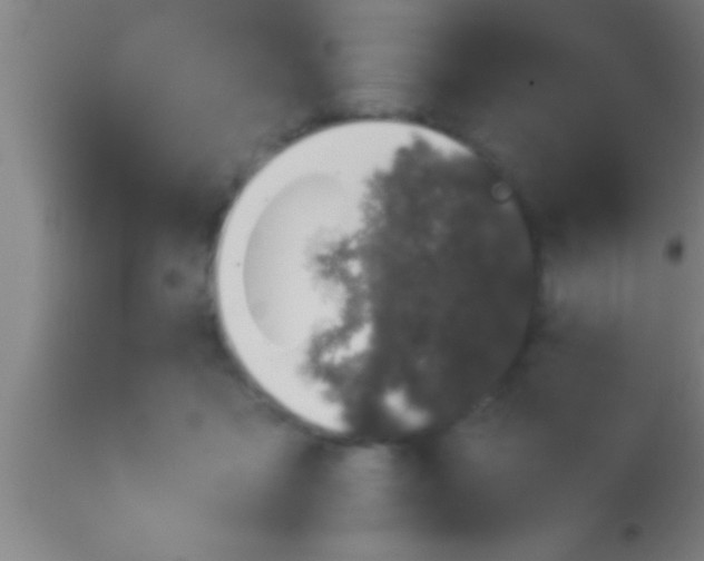 X0000113930411200910161856