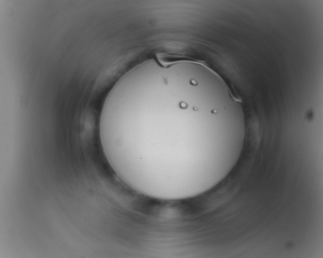 X0000113930412200910161856