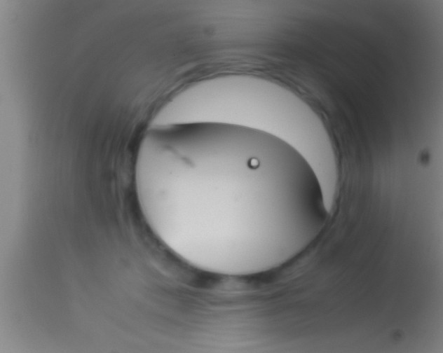 X0000113930413200910161856