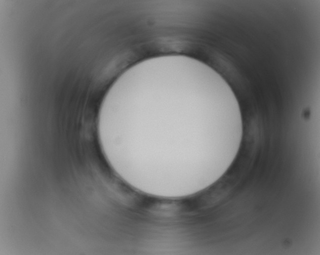 X0000113930414200910161856