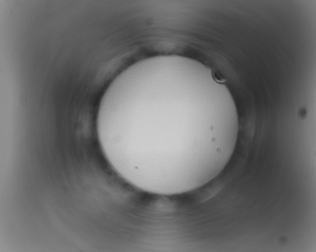 X0000113930416200910161856