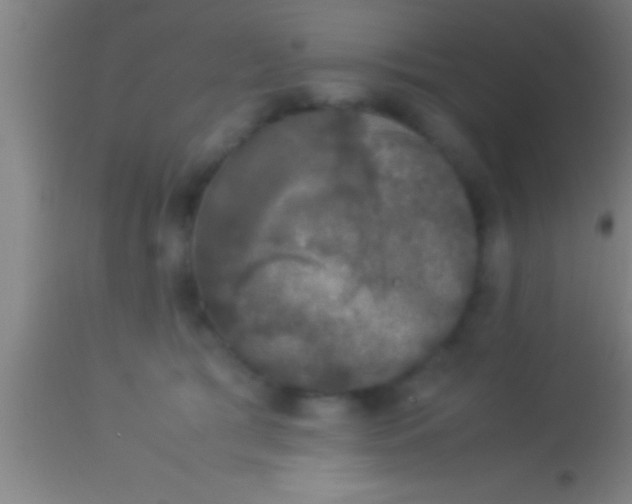 X0000113930417200910161856