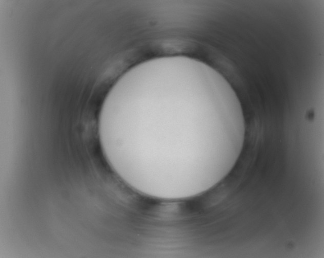 X0000113930418200910161856