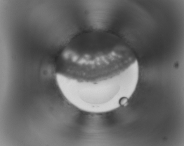 X0000113930419200910161856