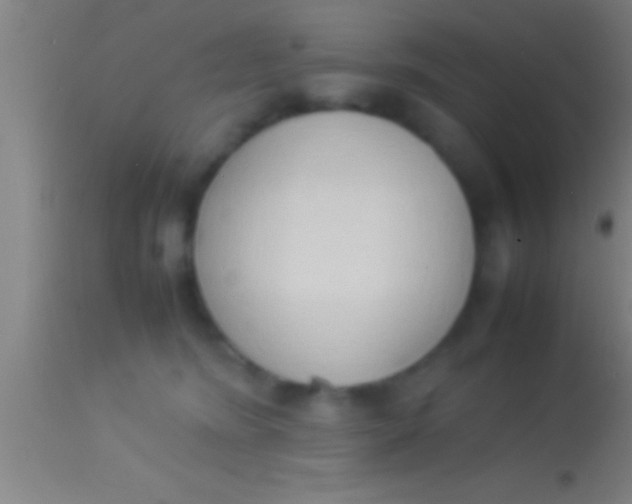 X0000113930420200910161856
