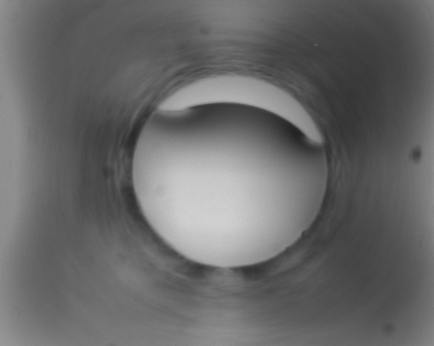 X0000113930421200910161856