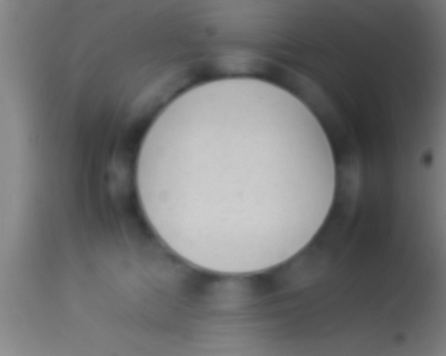 X0000113930422200910161856