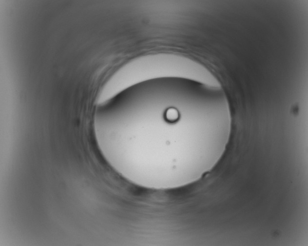 X0000113930423200910161856
