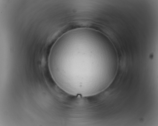 X0000113930424200910161856