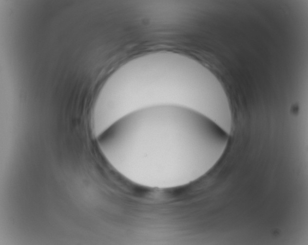 X0000113930425200910161856