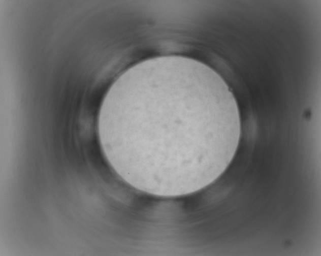 X0000113930426200910161856
