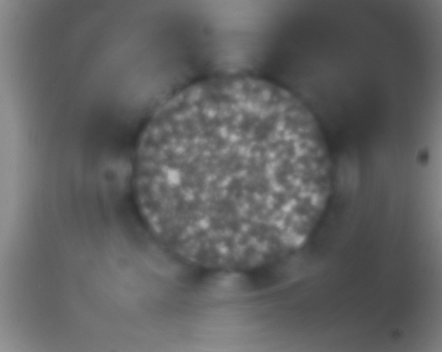 X0000113930427200910161856