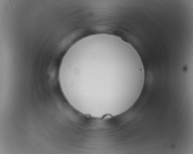 X0000113930428200910161856