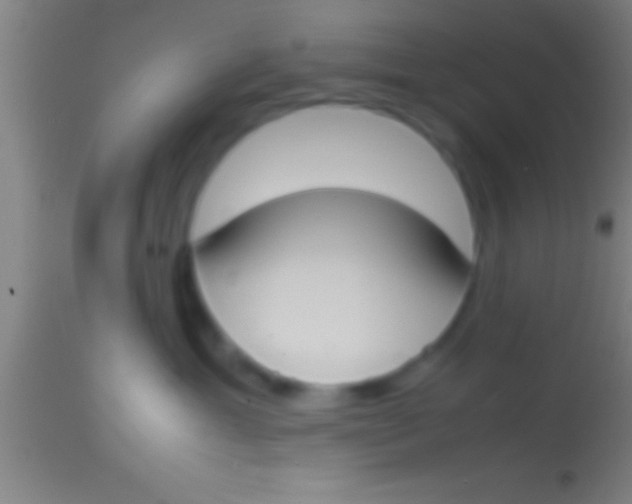 X0000113930429200910161856