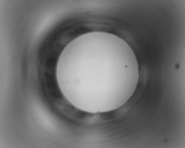 X0000113930430200910161856