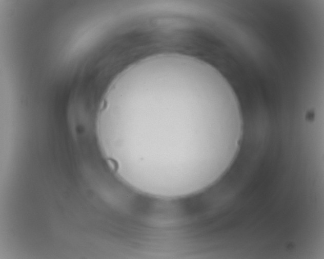 X0000113930431200910161856