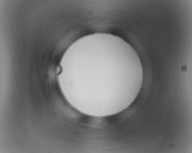 X0000113930432200910161856