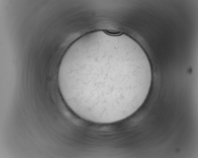 X0000113930433200910161855