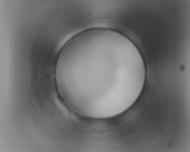 X0000113930434200910161855