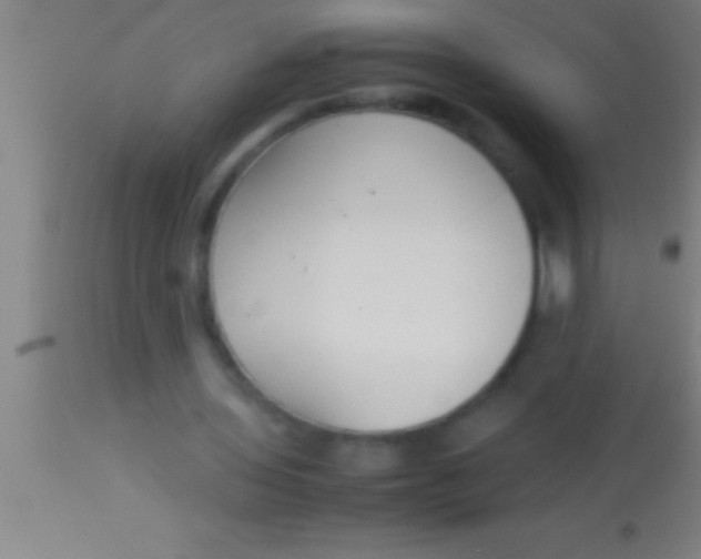 X0000113930435200910161855