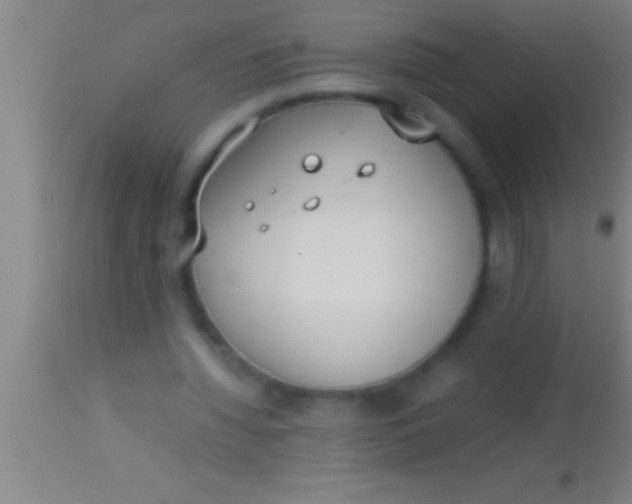 X0000113930436200910161855