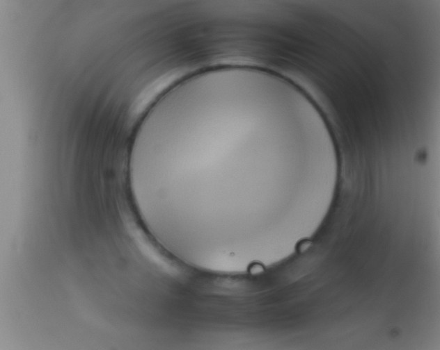 X0000113930437200910161855