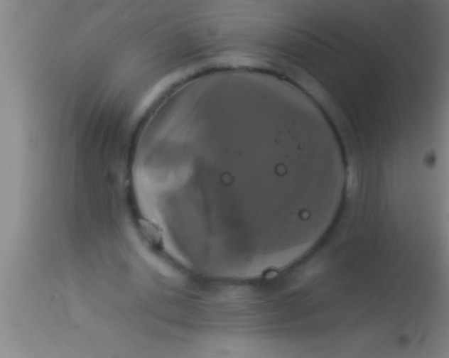 X0000113930438200910161855