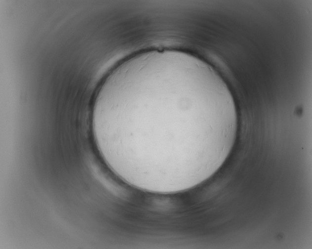 X0000113930439200910161855