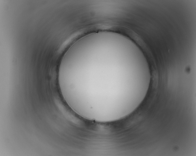 X0000113930442200910161855