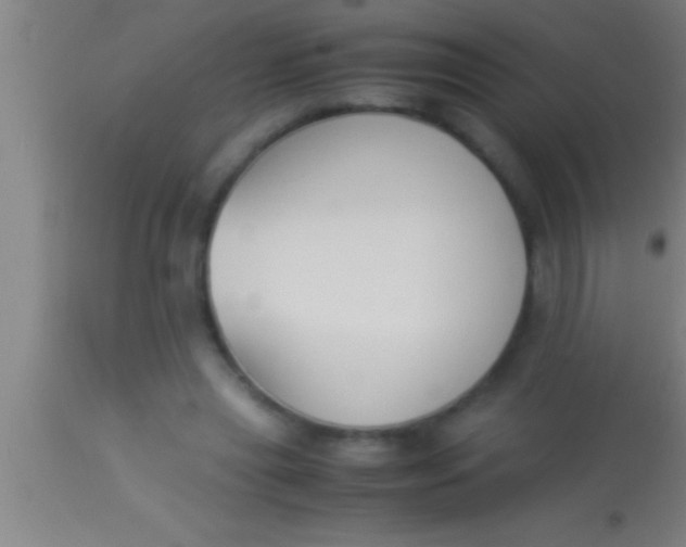 X0000113930445200910161855