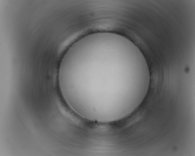X0000113930446200910161855