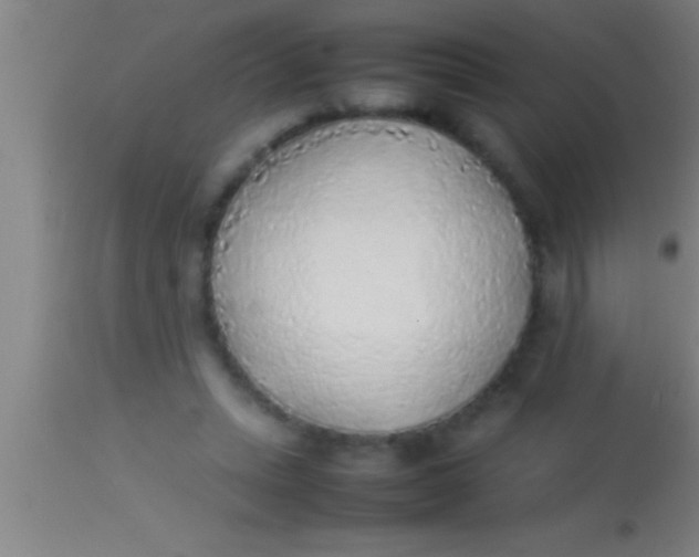 X0000113930447200910161855
