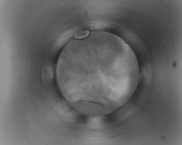 X0000113930452200910161855