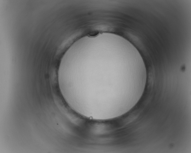 X0000113930453200910161855